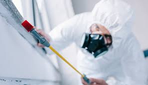 Best Pest Control for Multi-Family Homes  in Eastvale, CA